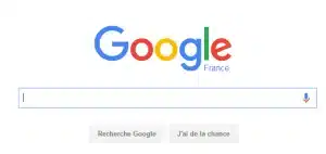 Google SERP - naturel