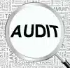 audit seo